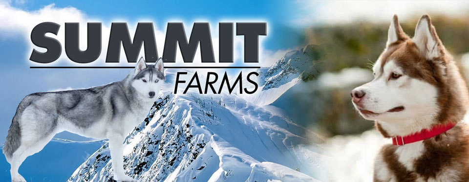 Summit Farms Rescue